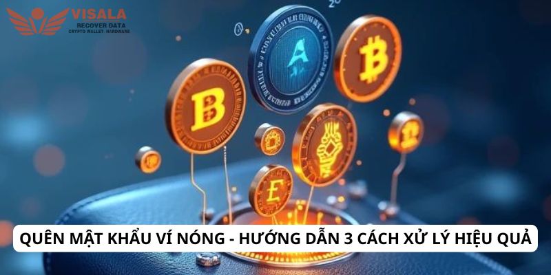 Quên mật khẩu ví nóng - Hướng dẫn 3 cách xử lý hiệu quả
